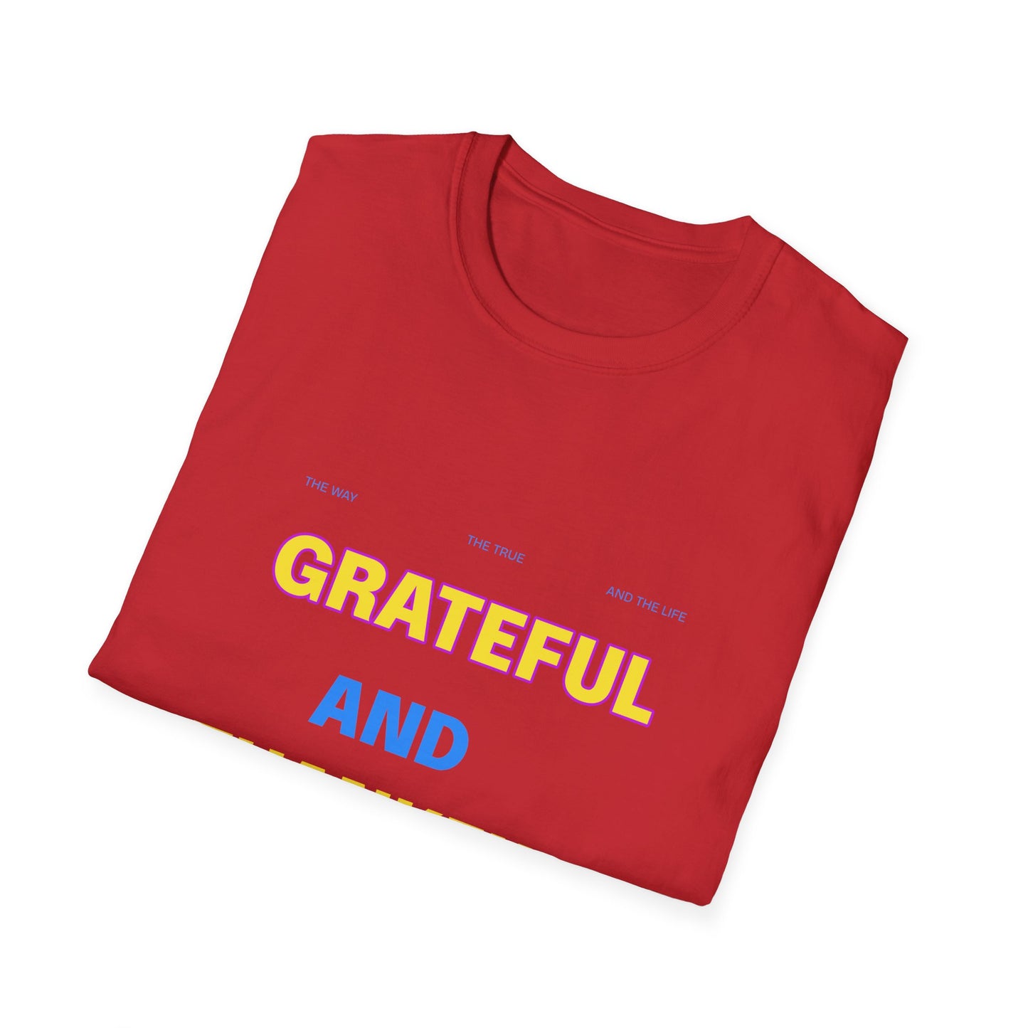 Grateful and Thankful Christian T-Shirt, Inspirational Tee, Faith Apparel, Gifts for Believers, Church Events, Casual Wear, [...]